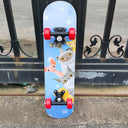 Beginner Double-Sided Children Scooter Skateboard