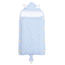 Baby Sleeping Bag