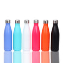 Insulated Sports Water Bottle