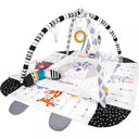 Baby 4-in-1 Play Mat with Fence and Ocean Balls
