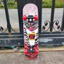 Beginner Double-Sided Children Scooter Skateboard