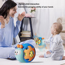 Infant Teether Rattle Ball