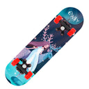 Beginner Double-Sided Children Scooter Skateboard